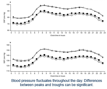 Blood pressure changes throughout the day