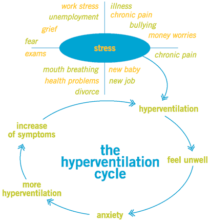 hyperventilation contributes to high blood pressure