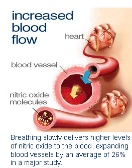 Nitric oxide can lower blood pressure