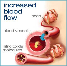 NITRIC OXIDE - the missing link to lower blood pressure?